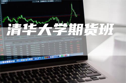 清华大学期货班-领航期货