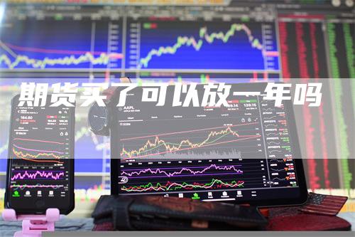 期货买了可以放一年吗