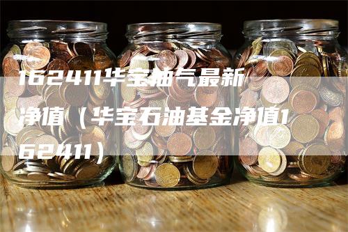 162411华宝油气最新净值（华宝石油基金净值162411）-领航期货