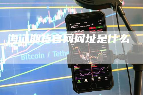 海证期货官网网址是什么