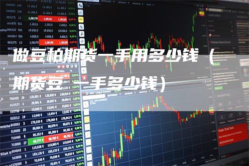 做豆柏期货一手用多少钱（期货豆粨一手多少钱）