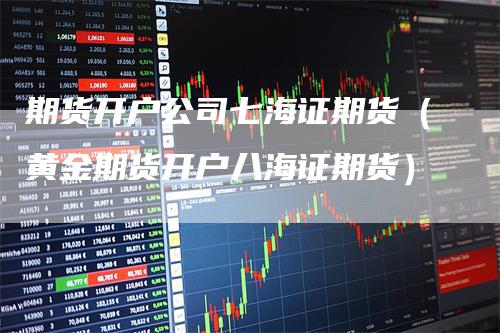 期货开户公司七海证期货（黄金期货开户八海证期货）-领航期货