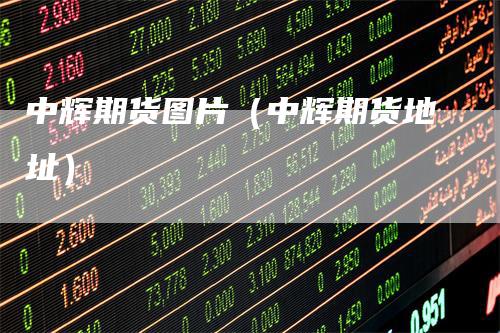 中辉期货图片（中辉期货地址）