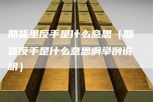 期货里反手是什么意思（期货反手是什么意思啊举例说明）-领航期货