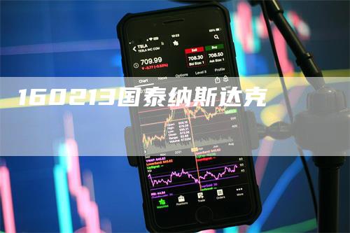 160213国泰纳斯达克-领航期货
