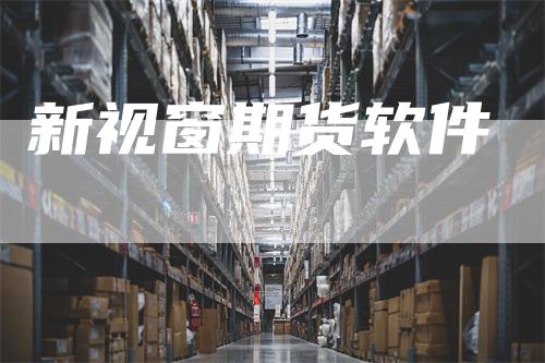 新视窗期货软件