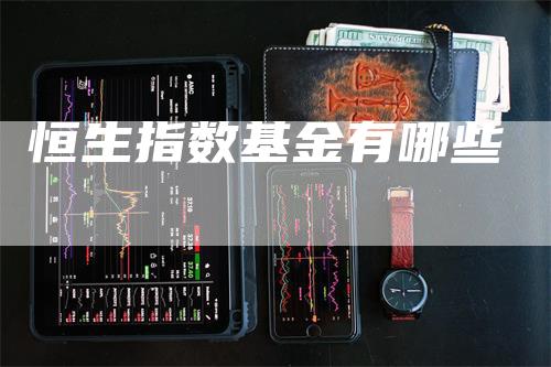 恒生指数基金有哪些-领航期货