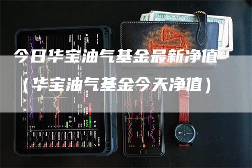 今日华宝油气基金最新净值（华宝油气基金今天净值）-领航期货