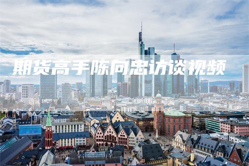 期货高手陈向忠访谈视频