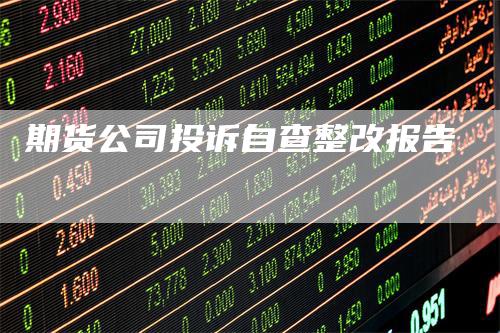 期货公司投诉自查整改报告-领航期货