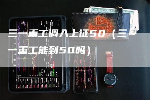 三一重工调入上证50（三一重工能到50吗）