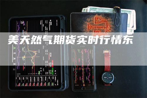 美天然气期货实时行情东-领航期货