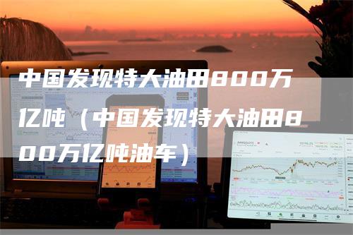 中国发现特大油田800万亿吨（中国发现特大油田800万亿吨油车）