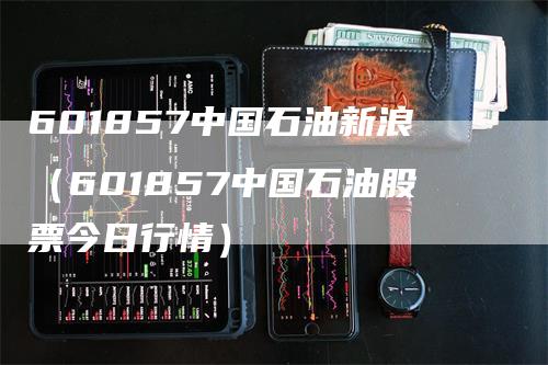 601857中国石油新浪（601857中国石油股票今日行情）-领航期货