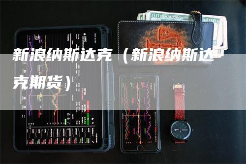 新浪纳斯达克（新浪纳斯达克期货）