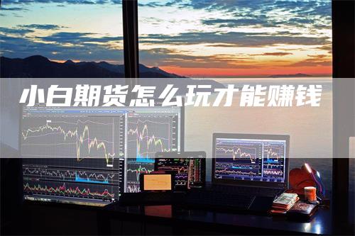 小白期货怎么玩才能赚钱-领航期货