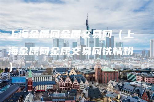 上海金属网金属交易网（上海金属网金属交易网铁精粉）-领航期货