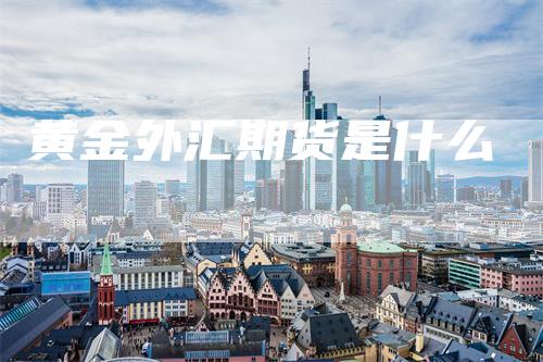 黄金外汇期货是什么-领航期货