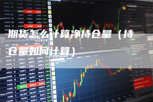期货怎么计算净持仓量（持仓量如何计算）