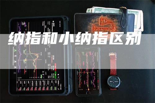 纳指和小纳指区别-领航期货