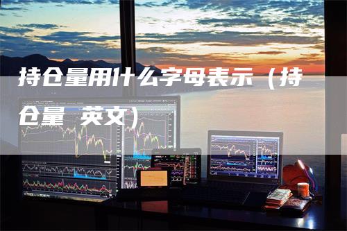 持仓量用什么字母表示（持仓量 英文）