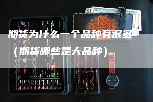 期货为什么一个品种有很多（期货哪些是大品种）