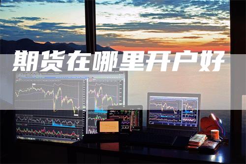 期货在哪里开户好-领航期货