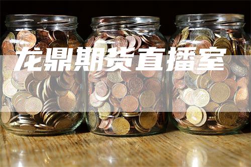 龙鼎期货直播室