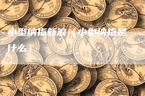 小型纳指新浪（小型纳指是什么）-领航期货