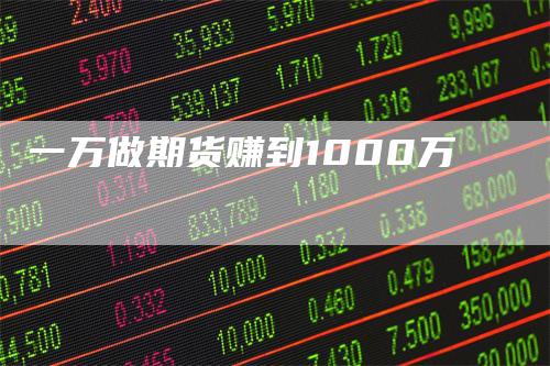 一万做期货赚到1000万