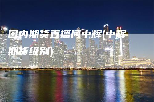 国内期货直播间中辉(中辉期货级别)