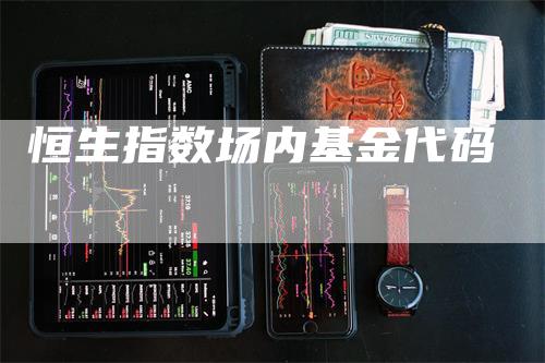 恒生指数场内基金代码-领航期货