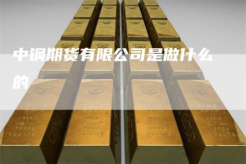 中钢期货有限公司是做什么的-领航期货