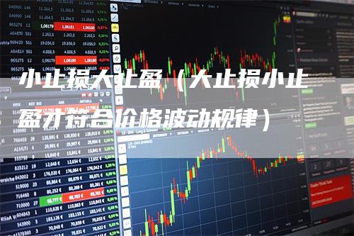 小止损大止盈（大止损小止盈才符合价格波动规律）