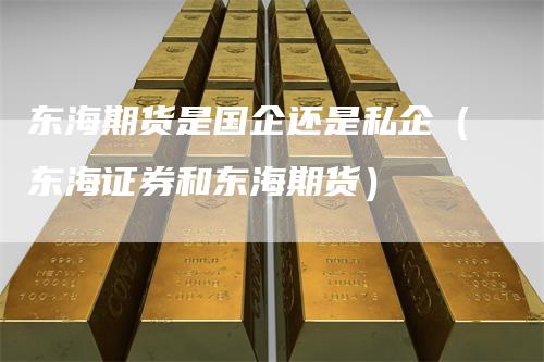 东海期货是国企还是私企（东海证券和东海期货）-领航期货