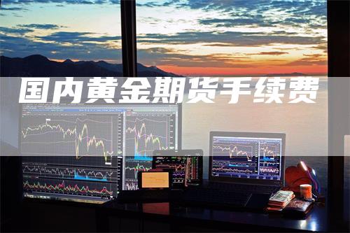 国内黄金期货手续费