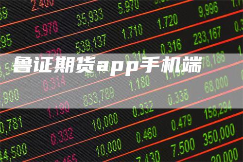 鲁证期货app手机端