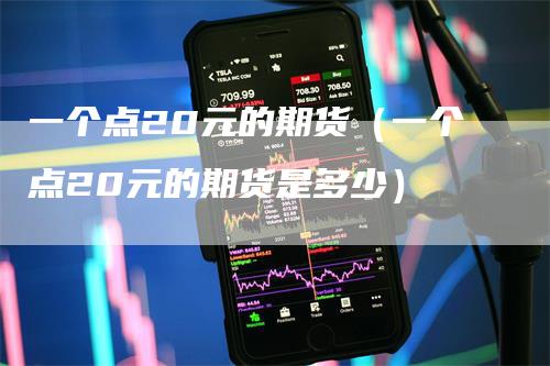 一个点20元的期货（一个点20元的期货是多少）