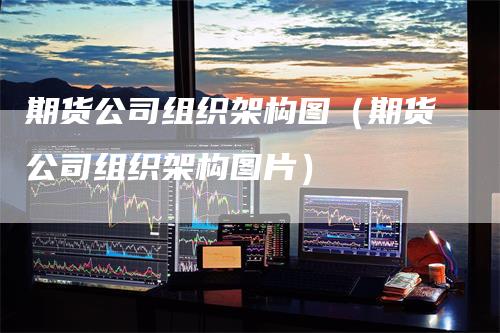 期货公司组织架构图（期货公司组织架构图片）