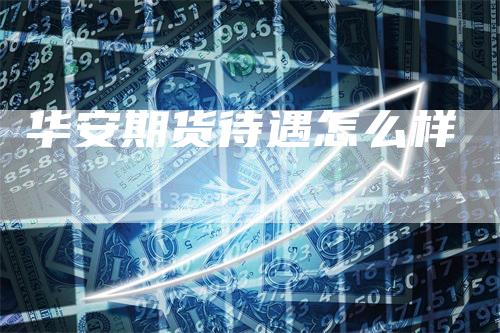 华安期货待遇怎么样-领航期货