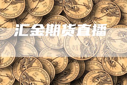 汇金期货直播