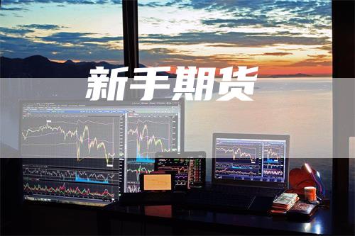 新手期货