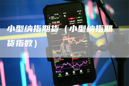 小型纳指期货（小型纳指期货指数）-领航期货