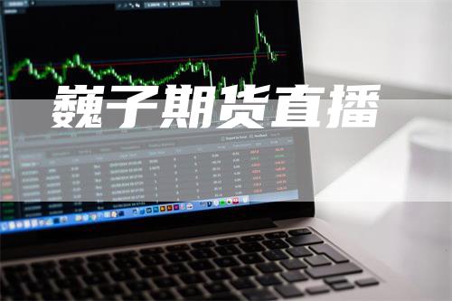 巍子期货直播
