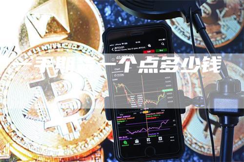 一手期货一个点多少钱-领航期货