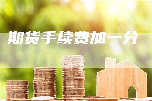 期货手续费加一分