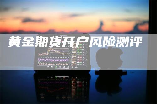 黄金期货开户风险测评-领航期货