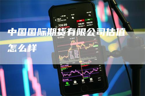 中国国际期货有限公司估值怎么样