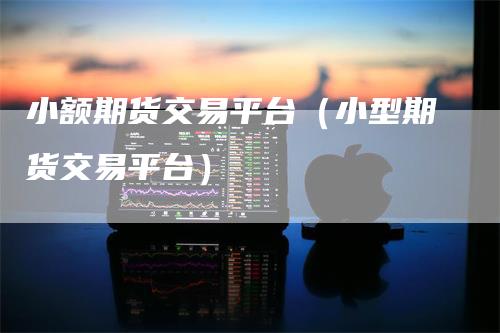 小额期货交易平台（小型期货交易平台）
